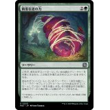精霊信者の力/Animist's Might《日本語》【MAT】