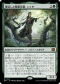 [EX+](FOIL)復活した精霊信者、ニッサ/Nissa, Resurgent Animist《日本語》【MAT】