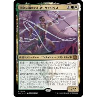 (FOIL)運命に導かれし者、ケイリクス/Calix, Guided by Fate《日本語》【MAT】