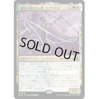 [HPLD]運命に導かれし者、ケイリクス/Calix, Guided by Fate《日本語》【MAT】