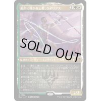 [EX](エッチングFOIL)運命に導かれし者、ケイリクス/Calix, Guided by Fate《日本語》【MAT】