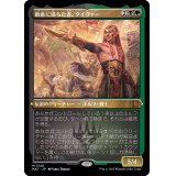 (エッチングFOIL)敵意に満ちた者、タイヴァー/Tyvar the Bellicose《日本語》【MAT】