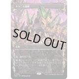 [EX+](FOIL)(フルアート)(0100)ドラニス遺跡/Drannith Ruins《日本語》【MAT】