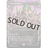 [EX+](ハローFOIL)ドラニス遺跡/Drannith Ruins《英語》【MAT】