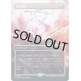[EX+](FOIL)(フルアート)(0055)灯の破裂/Spark Rupture《日本語》【MAT】
