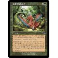 (FOIL)(旧枠仕様)精霊信者の力/Animist's Might《日本語》【MAT】