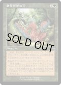 [EX+](旧枠仕様)精霊信者の力/Animist's Might《日本語》【MAT】