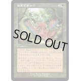 [EX+](FOIL)(旧枠仕様)精霊信者の力/Animist's Might《日本語》【MAT】