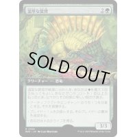 [EX](FOIL)(フルアート)温厚な襞背/Tranquil Frillback《日本語》【MAT】