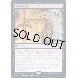 [EX+](FOIL)不敬な教示者/Profane Tutor《日本語》【MH2】