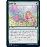 豊穣な収穫/Abundant Harvest《日本語》【MH2】