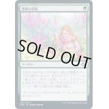 [EX+](FOIL)豊穣な収穫/Abundant Harvest《日本語》【MH2】