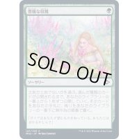 [EX+](FOIL)豊穣な収穫/Abundant Harvest《日本語》【MH2】