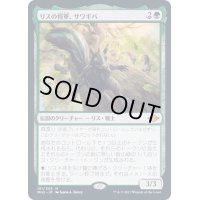 [EX+](FOIL)リスの将軍、サワギバ/Chatterfang, Squirrel General《日本語》【MH2】