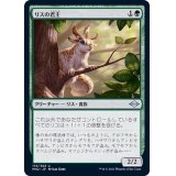 リスの君主/Squirrel Sovereign《日本語》【MH2】