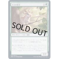 [EX+]リスの君主/Squirrel Sovereign《日本語》【MH2】