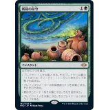 新緑の命令/Verdant Command《日本語》【MH2】
