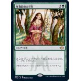 女魔術師の存在/Enchantress's Presence《日本語》【MH2】