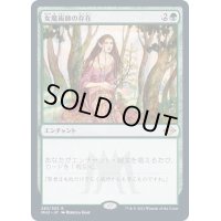 [EX+](FOIL)女魔術師の存在/Enchantress's Presence《日本語》【MH2】