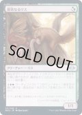 (FOIL)貪欲なるリス/Ravenous Squirrel《日本語》【MH2】