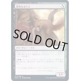 (FOIL)貪欲なるリス/Ravenous Squirrel《日本語》【MH2】