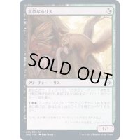 (FOIL)貪欲なるリス/Ravenous Squirrel《日本語》【MH2】