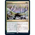 (FOIL)真の木立ち/Sterling Grove《日本語》【MH2】