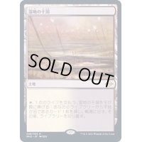 [EX+](FOIL)湿地の干潟/Marsh Flats《日本語》【MH2】