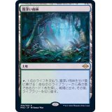 (FOIL)霧深い雨林/Misty Rainforest《日本語》【MH2】