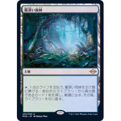 画像1: (FOIL)霧深い雨林/Misty Rainforest《日本語》【MH2】