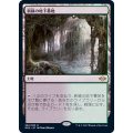 [EX](FOIL)新緑の地下墓地/Verdant Catacombs《日本語》【MH2】