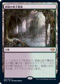 (FOIL)新緑の地下墓地/Verdant Catacombs《日本語》【MH2】