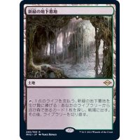 [EX](FOIL)新緑の地下墓地/Verdant Catacombs《日本語》【MH2】