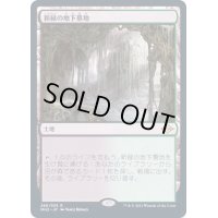 [EX+](FOIL)新緑の地下墓地/Verdant Catacombs《日本語》【MH2】