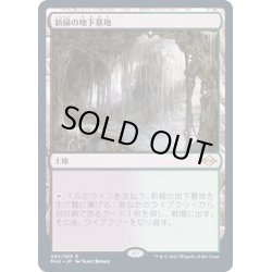 画像1: [EX](FOIL)新緑の地下墓地/Verdant Catacombs《日本語》【MH2】