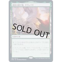 [EX+](FOIL)成長の揺り篭、ヤヴィマヤ/Yavimaya, Cradle of Growth《日本語》【MH2】