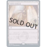 [EX+](FOIL)陰謀団の貴重品室/Cabal Coffers《日本語》【MH2】