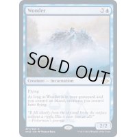 (FOIL)不可思議/Wonder《英語》【MH2】