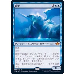 画像1: (FOIL)緻密/Subtlety《日本語》【MH2】