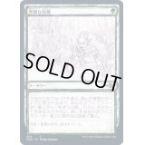 (FOIL)(スケッチアート)豊穣な収穫/Abundant Harvest《日本語》【MH2】