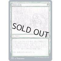 (FOIL)(スケッチアート)豊穣な収穫/Abundant Harvest《日本語》【MH2】