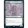 (FOIL)(スケッチアート)下賤の教主/Ignoble Hierarch《日本語》【MH2】