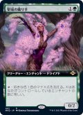 [EX+](フルアート)聖域の織り手/Sanctum Weaver《日本語》【MH2】