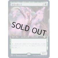 [EX+](FOIL)(フルアート)聖域の織り手/Sanctum Weaver《日本語》【MH2】
