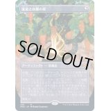 [EX+](FOIL)(フルアート)家庭と故郷の剣/Sword of Hearth and Home《日本語》【MH2】