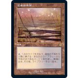 [EX](旧枠仕様)湿地の干潟/Marsh Flats《日本語》【MH2】