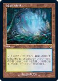 [EX](旧枠仕様)霧深い雨林/Misty Rainforest《日本語》【MH2】