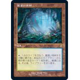 [EX+](FOIL)(旧枠仕様)霧深い雨林/Misty Rainforest《日本語》【MH2】