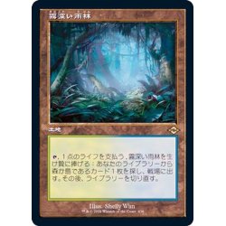 画像1: (FOIL)(旧枠仕様)霧深い雨林/Misty Rainforest《日本語》【MH2】