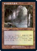 (エッチングFOIL)(旧枠仕様)新緑の地下墓地/Verdant Catacombs《日本語》【MH2】